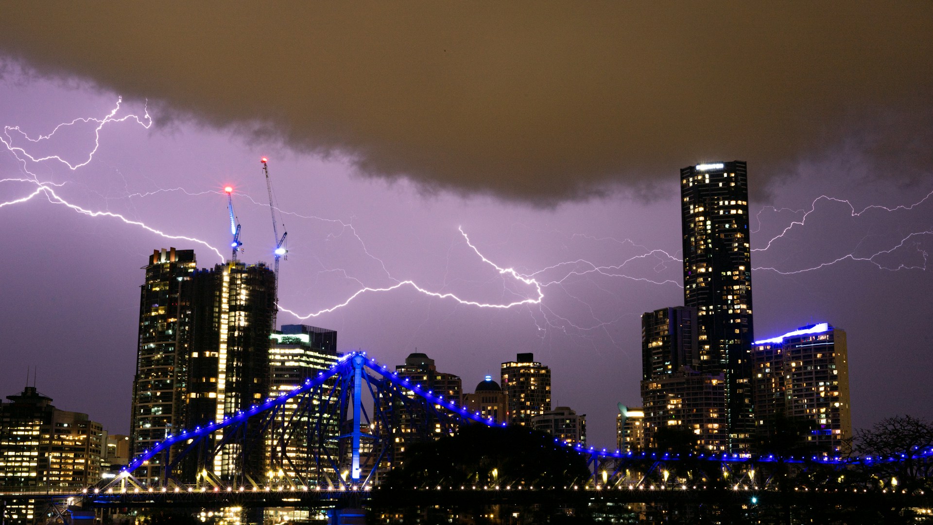 brisbane storm cleanup